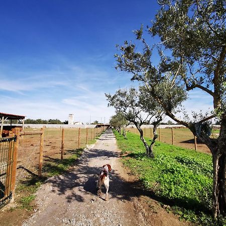 Willa Quinta Do Louredo - Évora Zewnętrze zdjęcie
